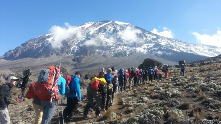 5 Days Marangu Route – Kilimanjaro Climb
